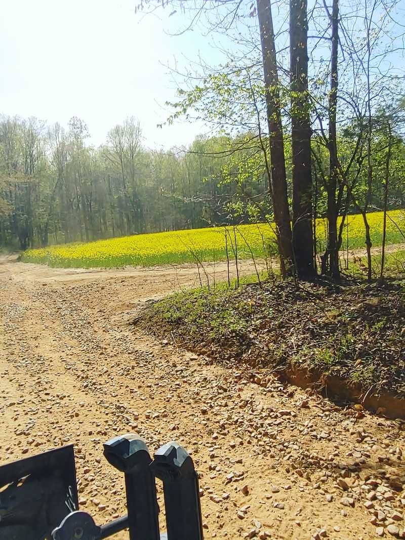 Friendly Owners Keep The Trails In Top Shape