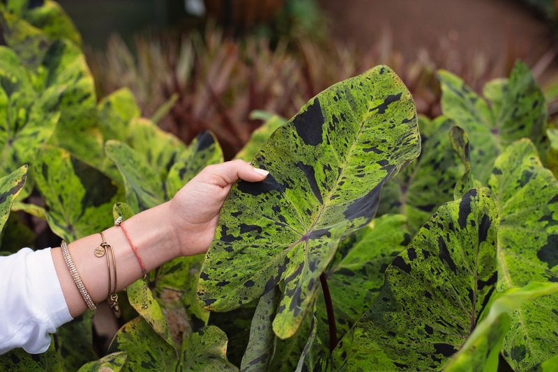 Friendly Plant Experts Who Love Questions Friendly Plant Experts Who Love Questions