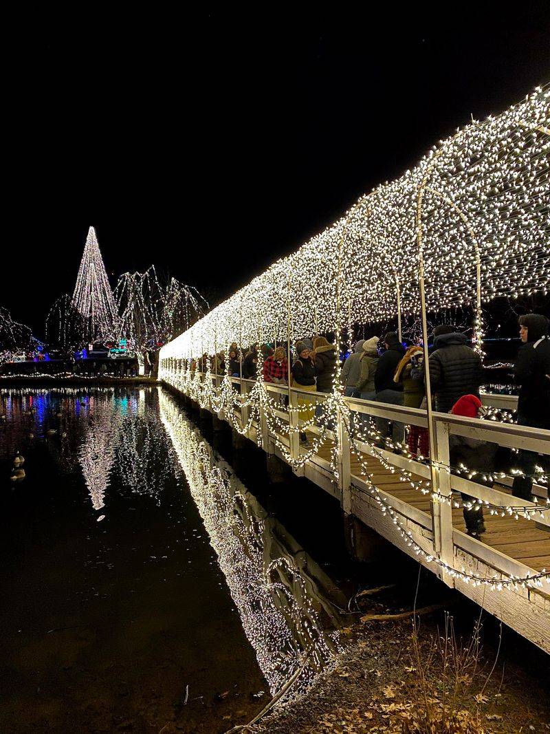 From 50,000 Bulbs to a Statewide Tradition From 50,000 Bulbs to a Statewide Tradition