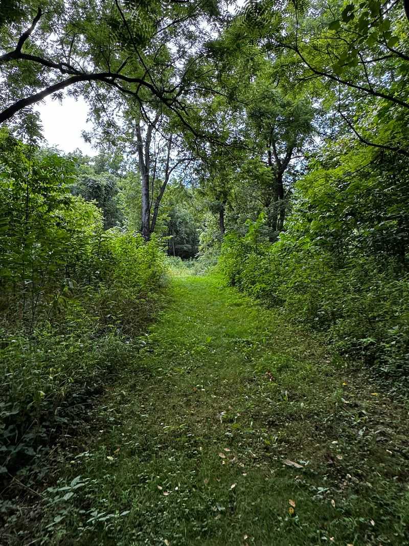 From Ice Age Meltwater to Farm Fields to Forest From Ice Age Meltwater to Farm Fields to Forest