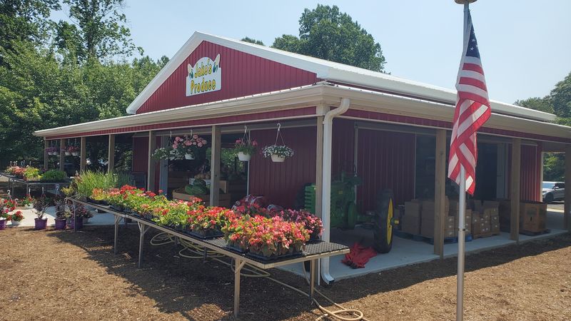 From a Pickup Truck to a Local Landmark