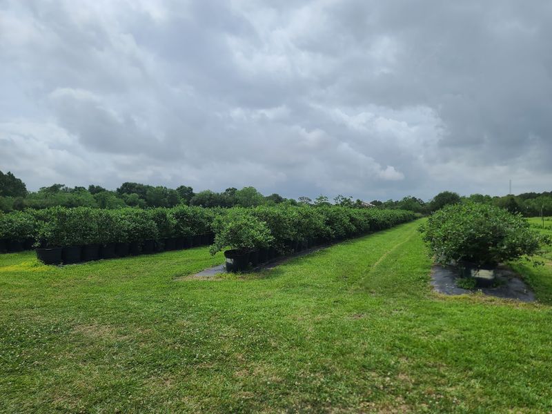 Fruits 'n Such Orchard