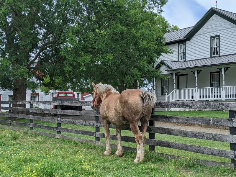 Frying Pan Farm Park, Herndon, Virginia
