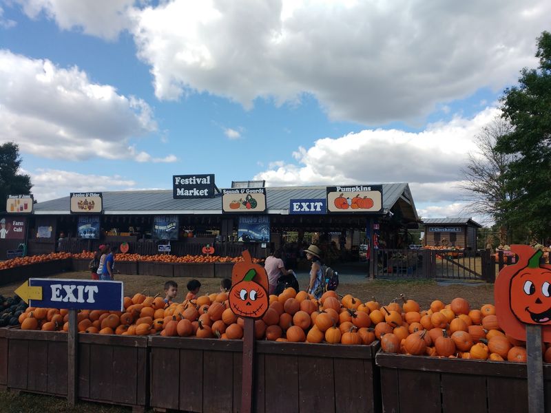 Fuel Up With Cider, Donuts, And Kettle Corn At The Fear Market Fuel Up With Cider, Donuts, And Kettle Corn At The Fear Market