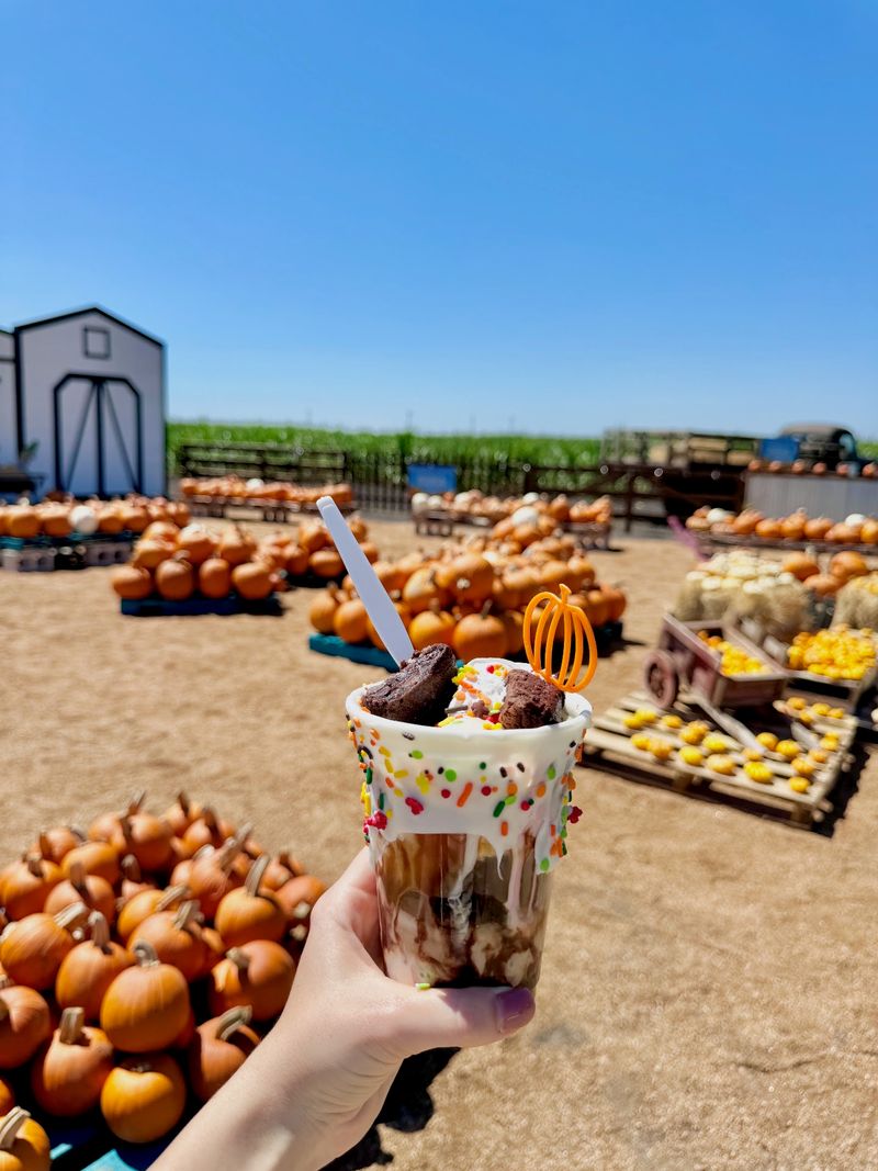 Funnel Cake Fries Deserve A Spot On Your Itinerary