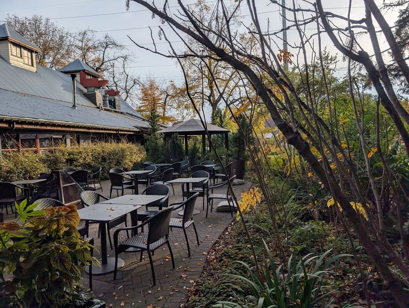 Game Night Gets a Serious Upgrade in the Elephant Bar