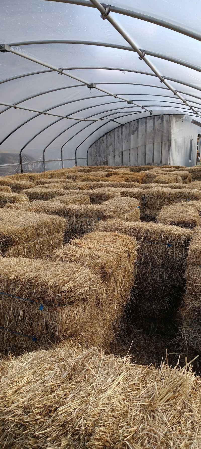 Get Pleasantly Lost In The Maze Get Pleasantly Lost In The Maze