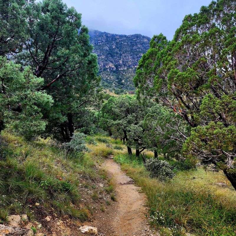 Getting To The Trailhead Takes A Little Planning