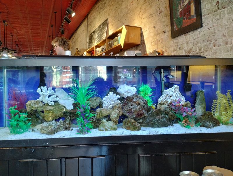 Gifts, Prints, And A Fish Tank For Good Measure