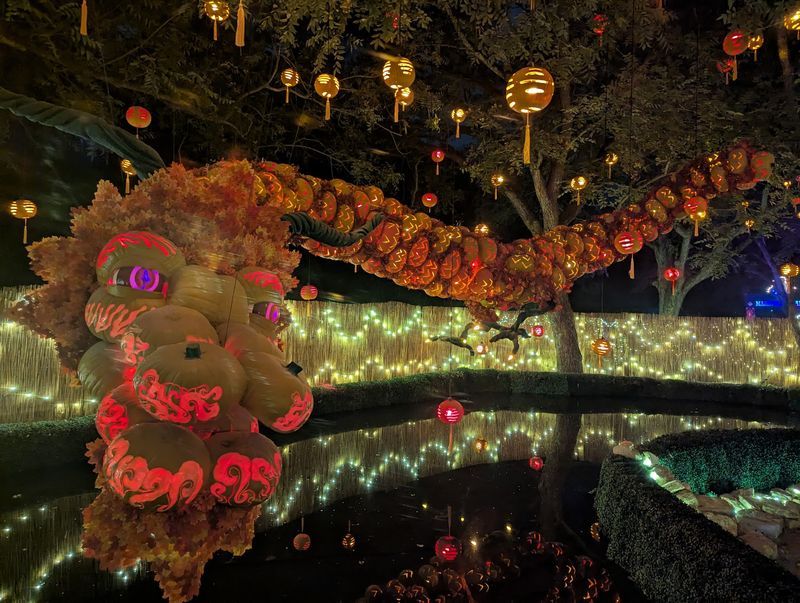 Give Yourself Extra Time Around The 40-Foot Pumpkin Dragon