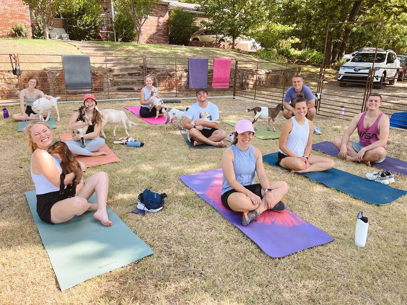 Goat Yoga on the Hilltop Goat Yoga on the Hilltop