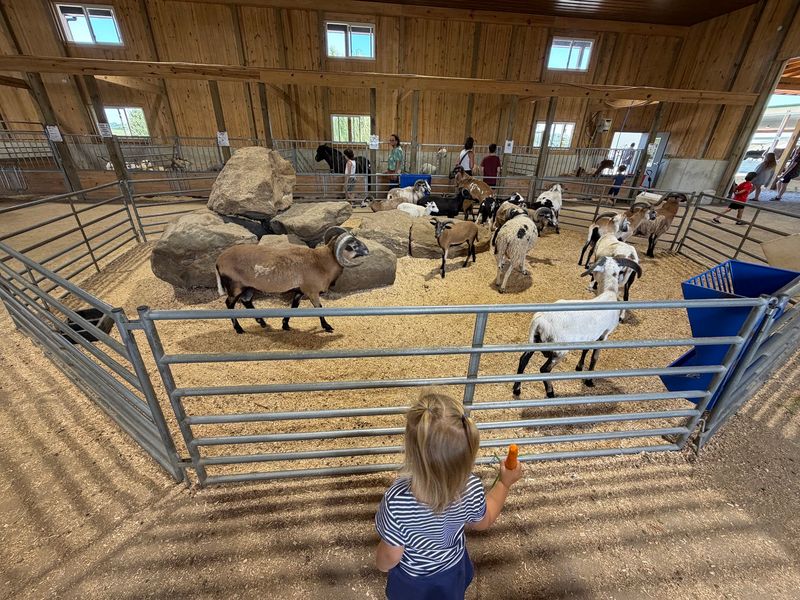 Goats on the Roof and Barns Full of Friends
