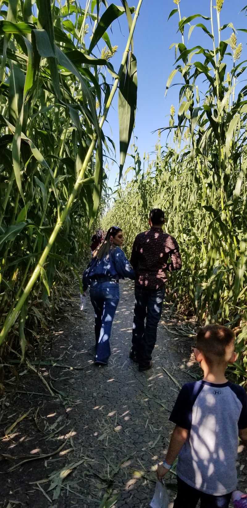 Good Luck Finding Your Way Out Of This Maze