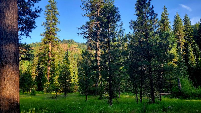 Grab A Riverside Campsite Before Someone Else Does
