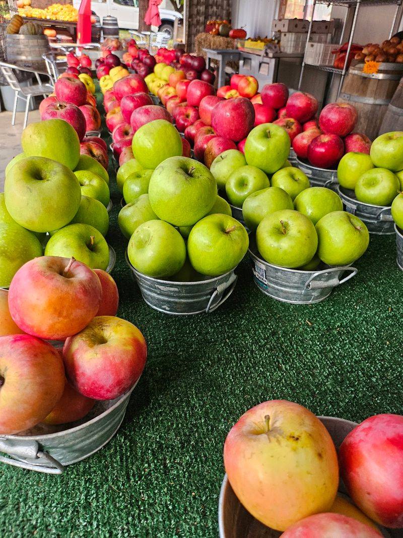Grab a Bag of Apples So You Can Feel Responsible Grab a Bag of Apples So You Can Feel Responsible