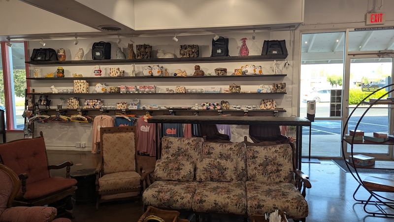 Grandma-Chic Décor and an Old Cat Lady Charm