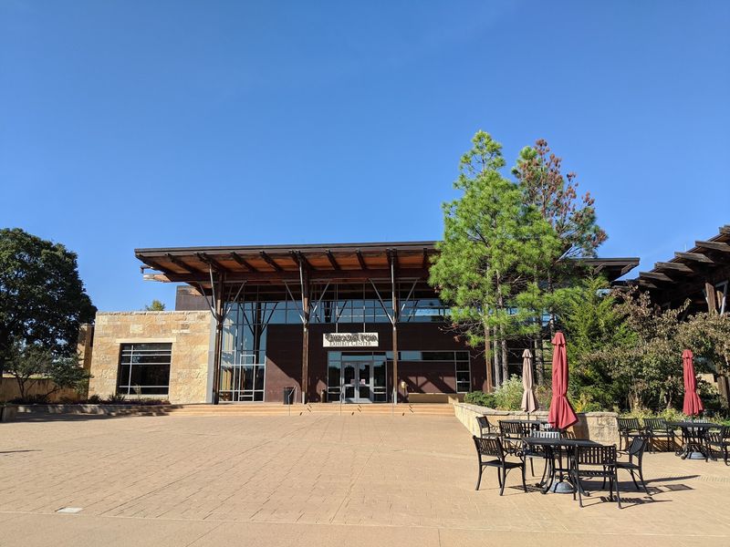 Grape Dumplings, Pashofa and Bison at Aaimpa' Café