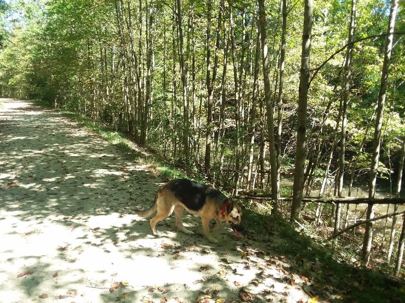 Gravel Underfoot on the Old Towpath