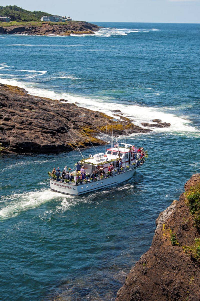 Gray Whales Get Front Row Treatment Gray Whales Get Front Row Treatment