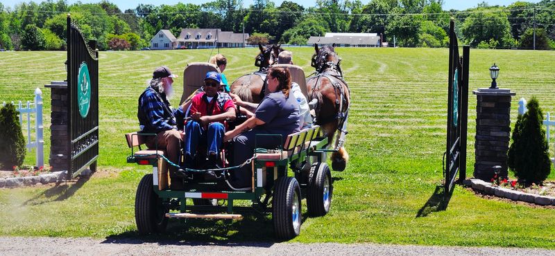 Guided Farm Tours Worth Planning Around Guided Farm Tours Worth Planning Around