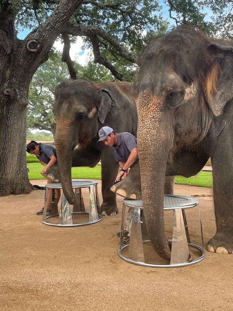 Handy Extras Make The Visit Easy On Everyone Handy Extras Make The Visit Easy On Everyone