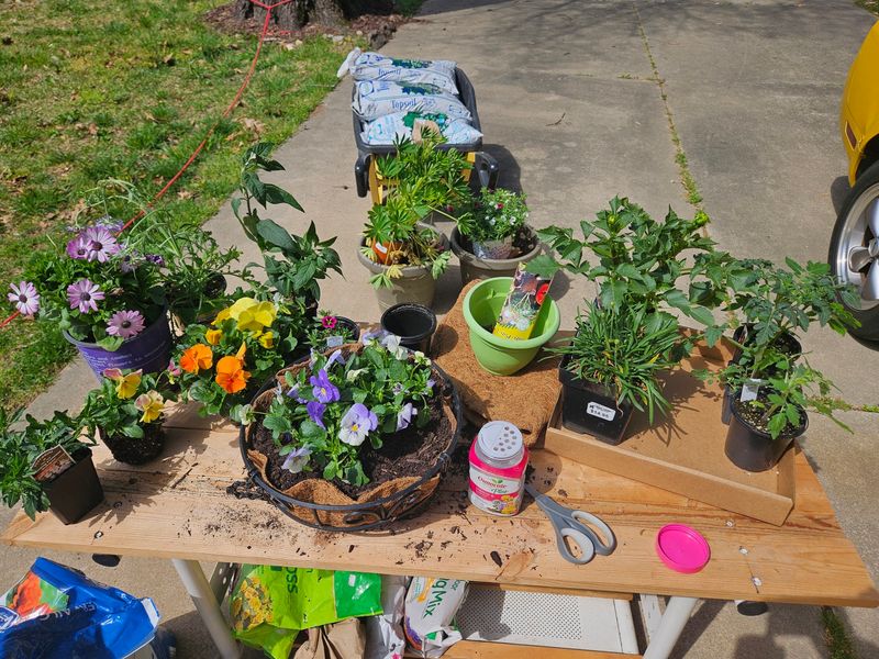 Hanging Baskets And Herbs For Easy Wins