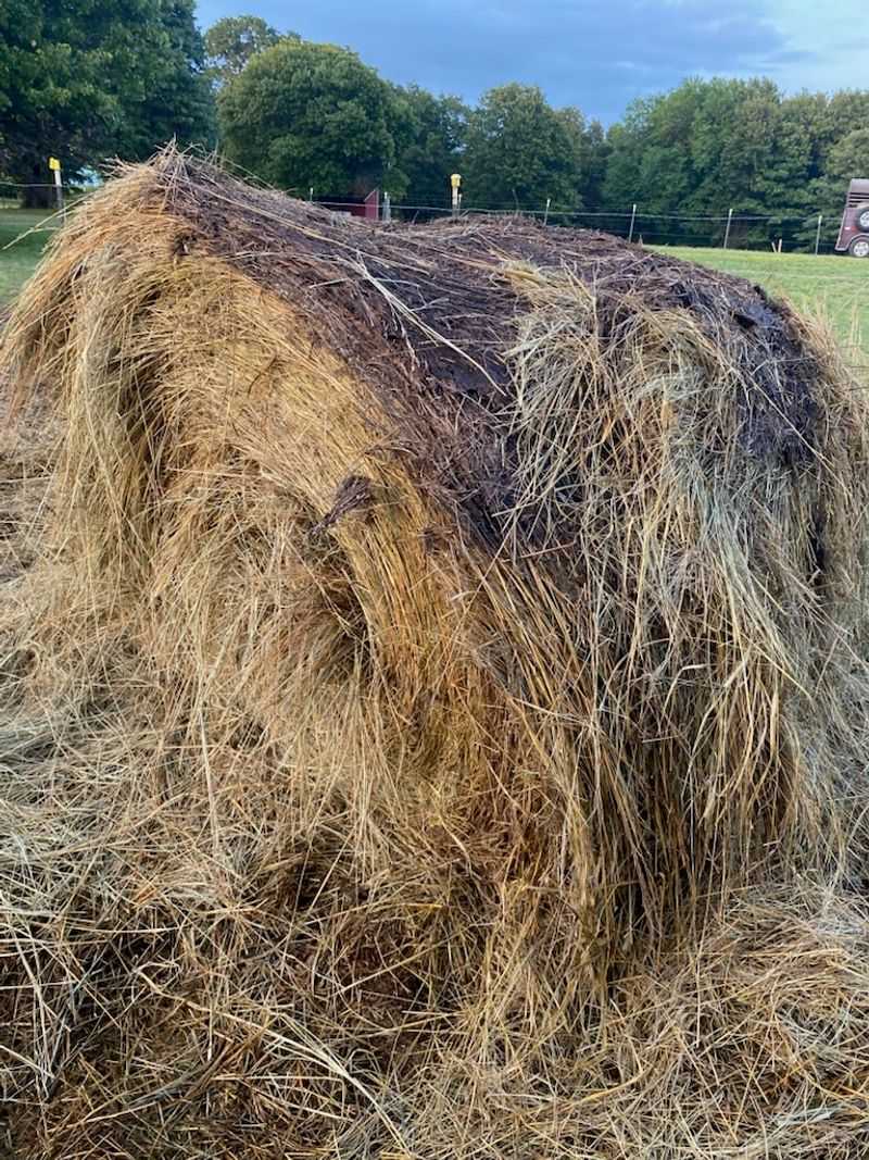 Hay Runs, Weather Checks, and Fireworks Updates Hay Runs, Weather Checks, and Fireworks Updates
