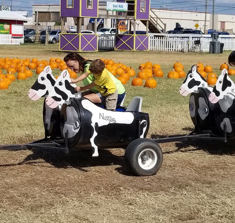 Hayrides, Cow Trains, and Rolling Fun Hayrides, Cow Trains, and Rolling Fun