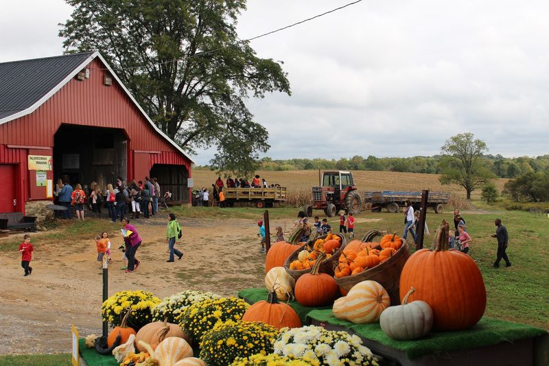 Hayrides That Splash Through the Creek
