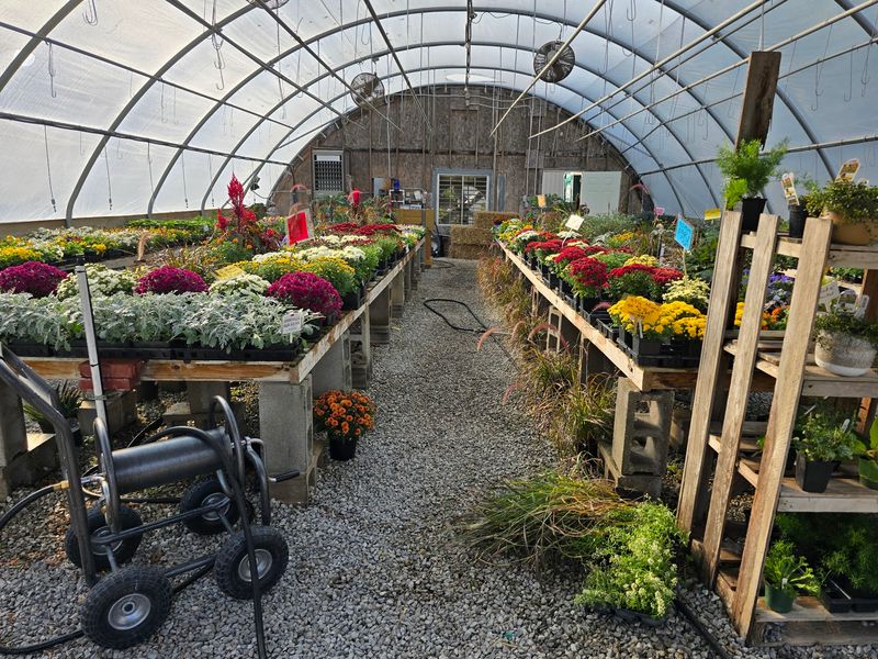 Heated Greenhouses That Keep Growing All Year