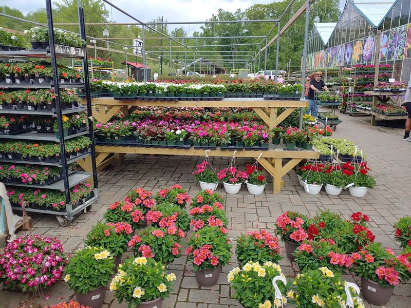Helpful Faces and Free Garden Lessons