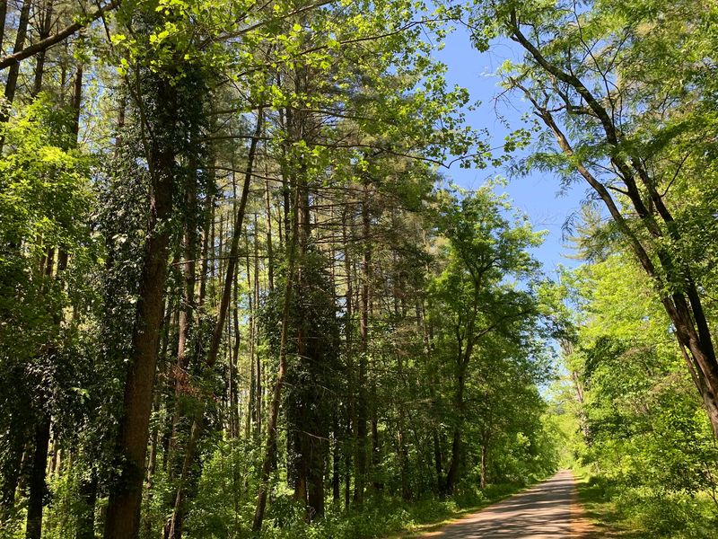 Hike the Mile Between Upper and Lower Falls