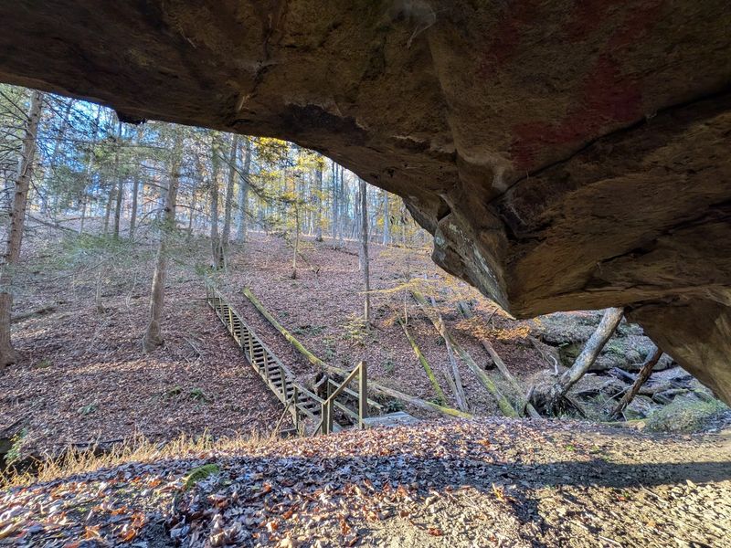 Hiking Paths From Easy Strolls to Rugged Climbs