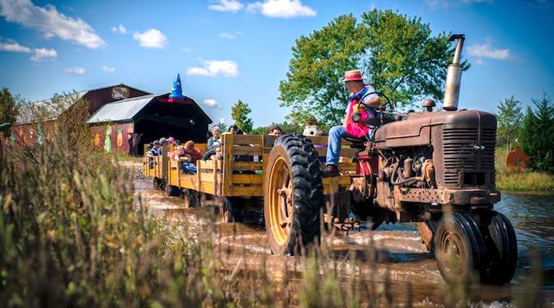 Hold On Tight When The Dark Side Hayride Rolls Out Hold On Tight When The Dark Side Hayride Rolls Out