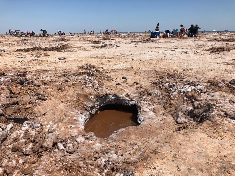 Holes That Help the Birds