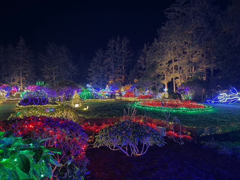 Holiday Lights That Make the Garden Glow