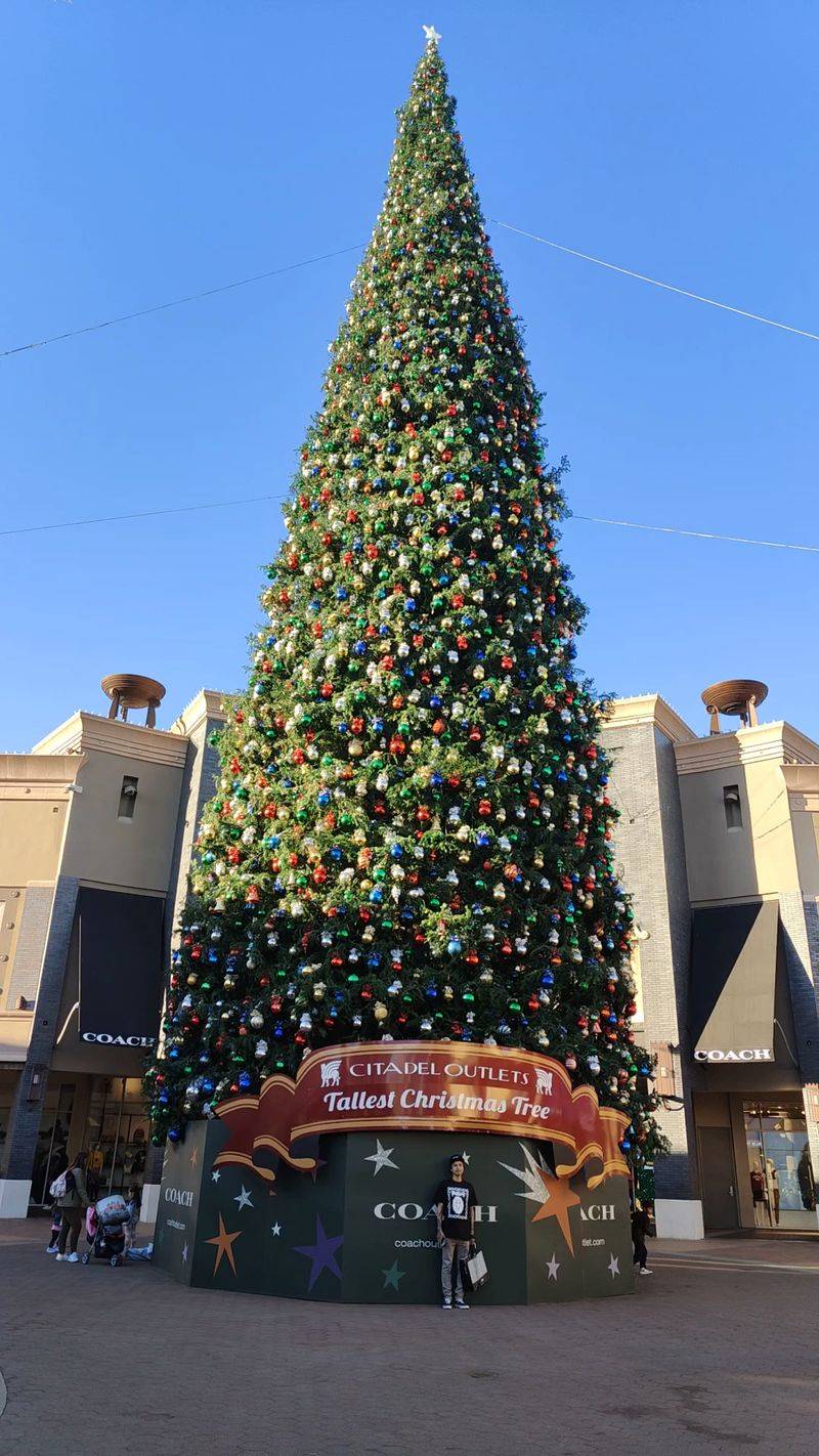 Holiday Sparkle and Big Game Days Holiday Sparkle and Big Game Days