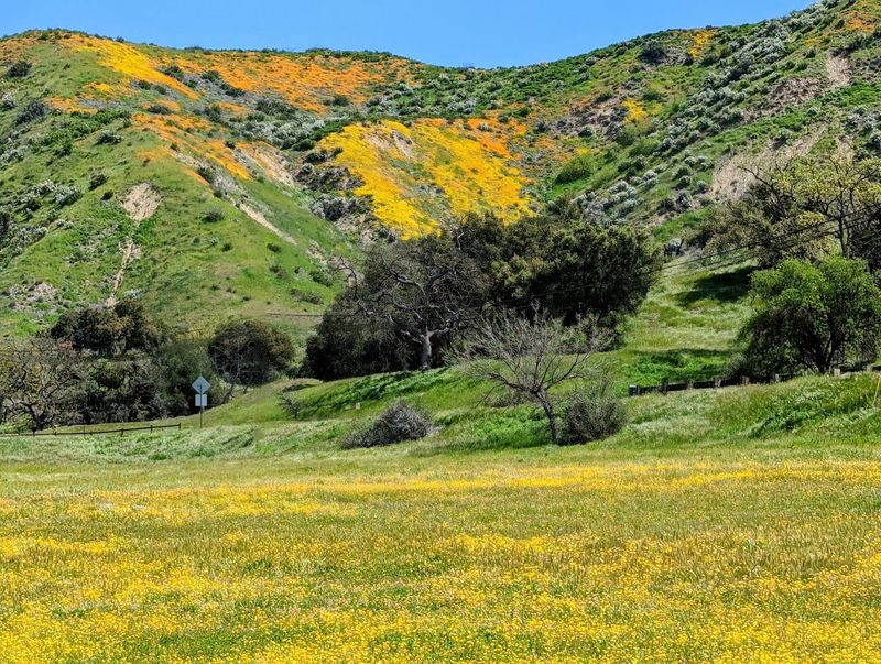Hollywood Bought This Land Long Before It Was a Park Hollywood Bought This Land Long Before It Was a Park