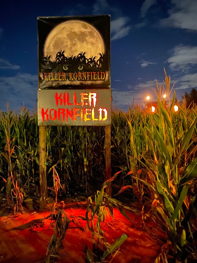 Hop on a Hayride That Only Goes One Place