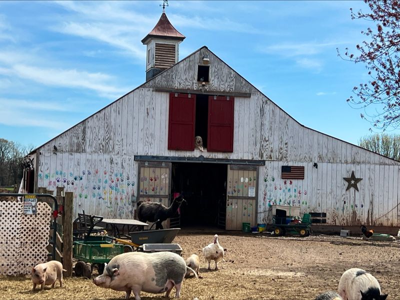 Hope and Serenity Farm Sanctuary, Nokesville, Virginia