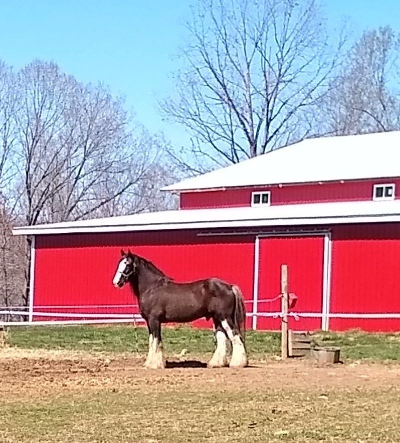 Horse Lovers Of Every Age Will Leave With A Grin