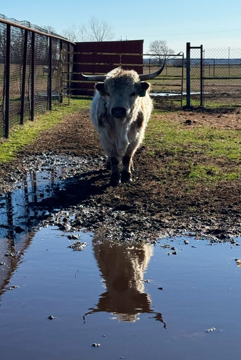 Hours, Booking and Prairie Weather
