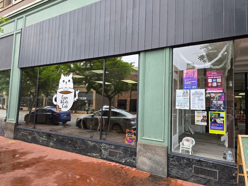 Hours, Fees, And Finding Summers Street