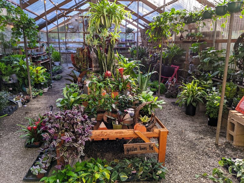 Houseplant Heaven Under One Roof Houseplant Heaven Under One Roof