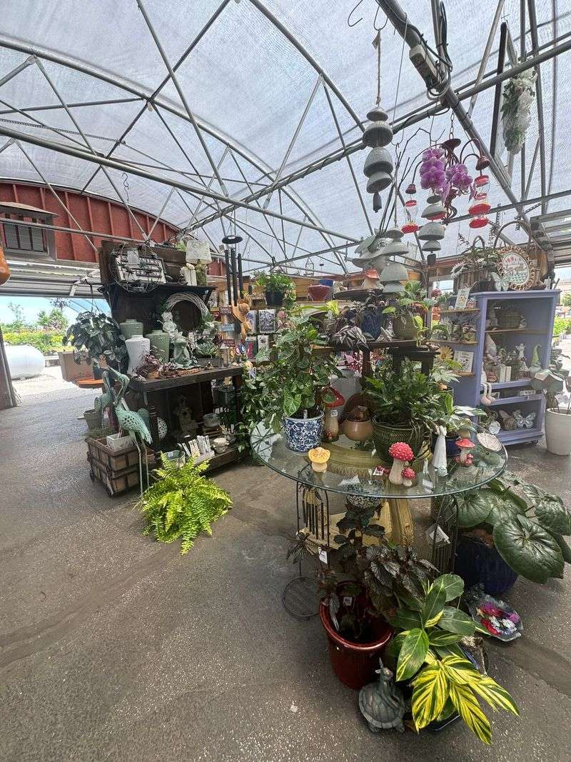 Houseplants That Brighten Up Any Indoor Corner