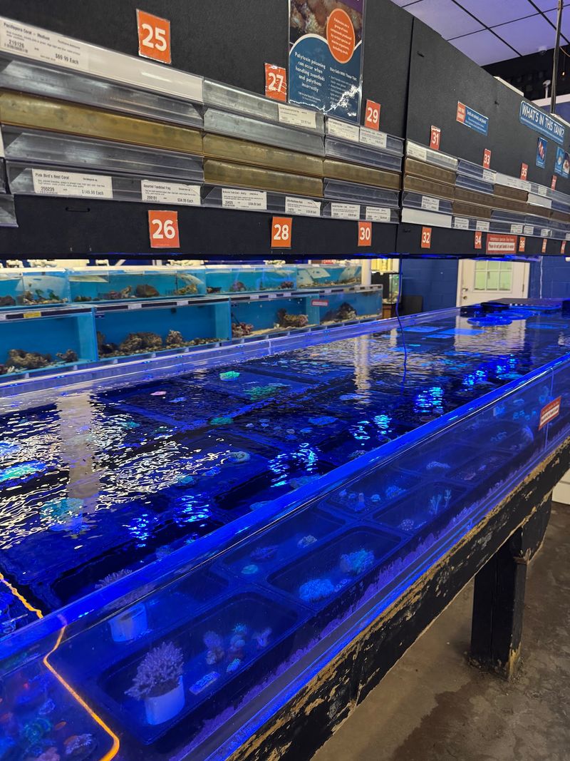 Hundreds of Tanks Make the Fish Room Feel Like a Free Aquarium Hundreds of Tanks Make the Fish Room Feel Like a Free Aquarium
