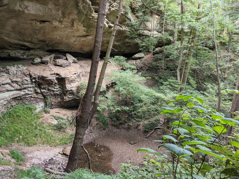 Ice Age Leftovers Are Growing Right Beside The Path