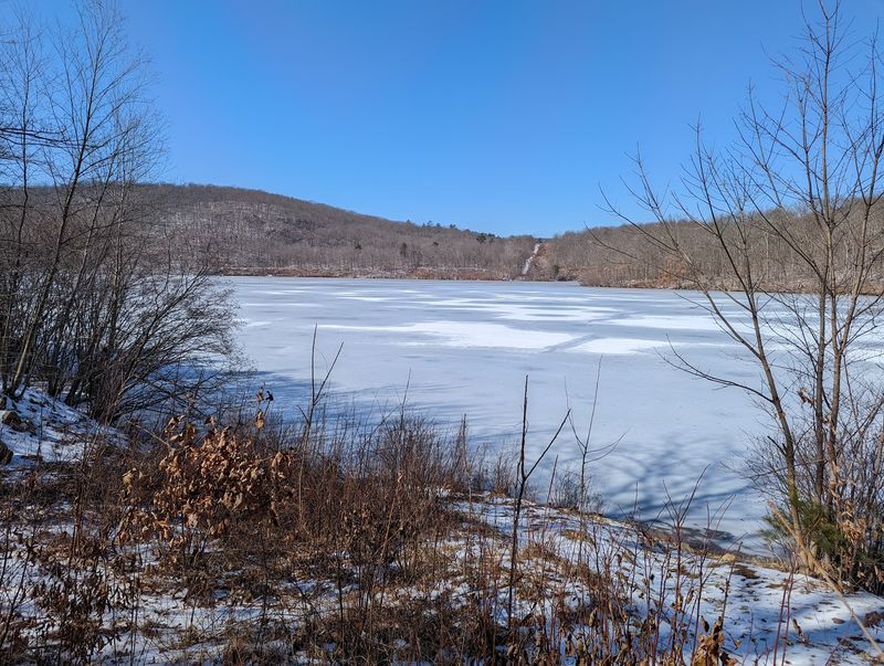 Ice, Sawdust, and Stubborn Neighbors