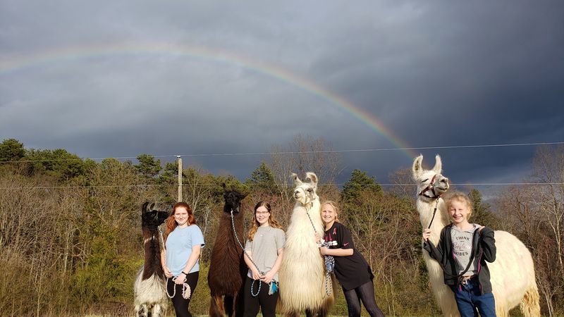 Infinity Acres Petting Ranch, Ridgeway, Virginia