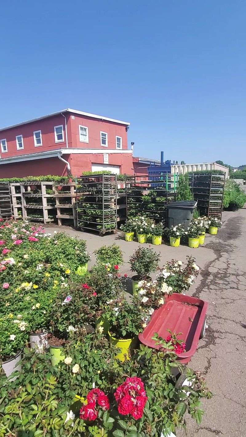 It All Started With A Tiny Roadside Store Back In 1971 It All Started With A Tiny Roadside Store Back In 1971
